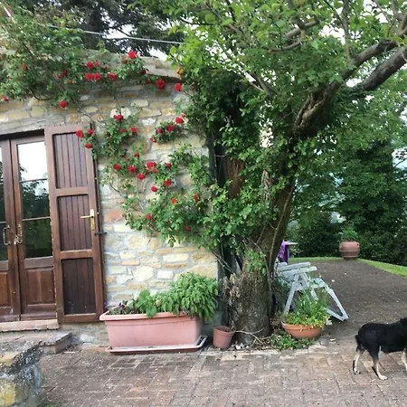 Casale Cascentino Frontino